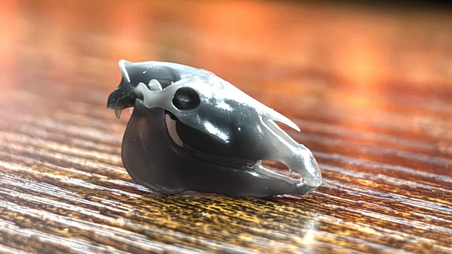 Stock Horse Skull