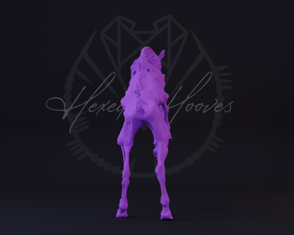 Deadalus