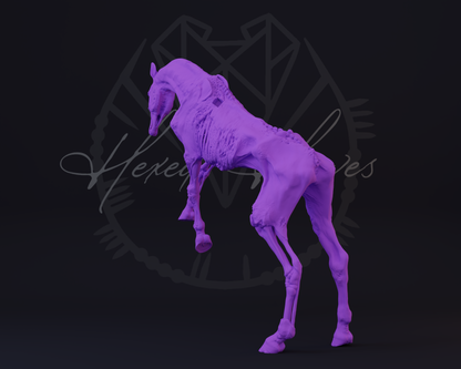 Deadalus