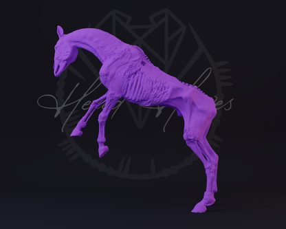Deadalus