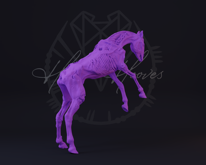 Deadalus