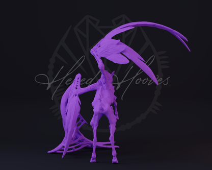 Deadalus