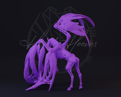 Deadalus