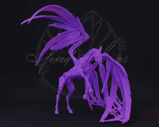 Deadalus