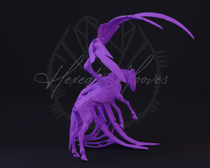 Deadalus
